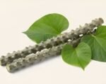 Fresh Giloy Neem Sticks (10 pcs, 10 inch) | Natural & Chemical-Free - Image 2