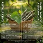 Fresh Giloy Neem Sticks (10 pcs, 10 inch) | Natural & Chemical-Free - Image 3
