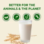 Plant Yum Oats Creamer | Vegan Dairy-Free Coffee & Tea Creamer - Image 2