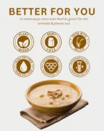 Vegan Vermicelli Payasam Premix