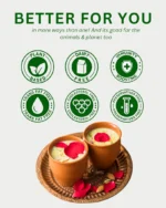Plant Yum Thandai Instant Premix | Vegan Dairy-Free Traditional Thandai - Image 4