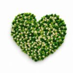 Unisex Heart Embroidered Cotton T-Shirt | The Heartpiece Tee - Image 3