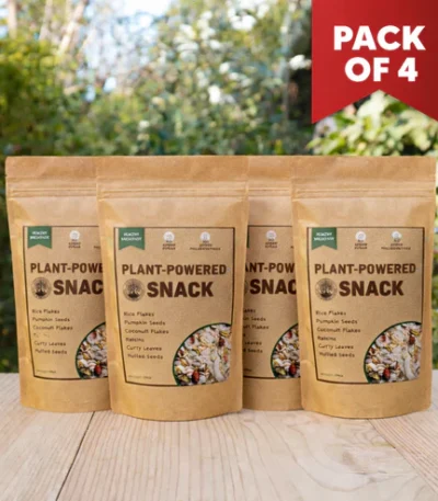 Vegan Namkeen Combo Pack