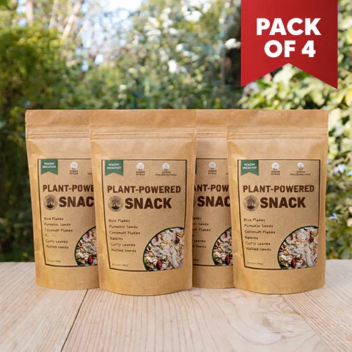 Vegan Namkeen Combo Pack