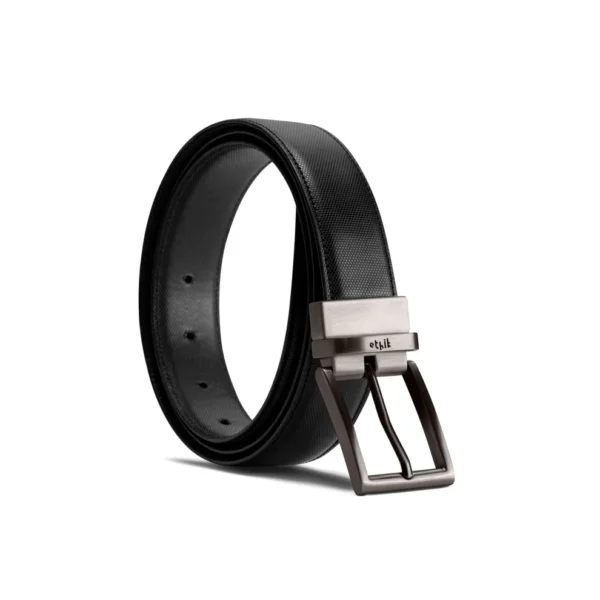 Reversible Belt