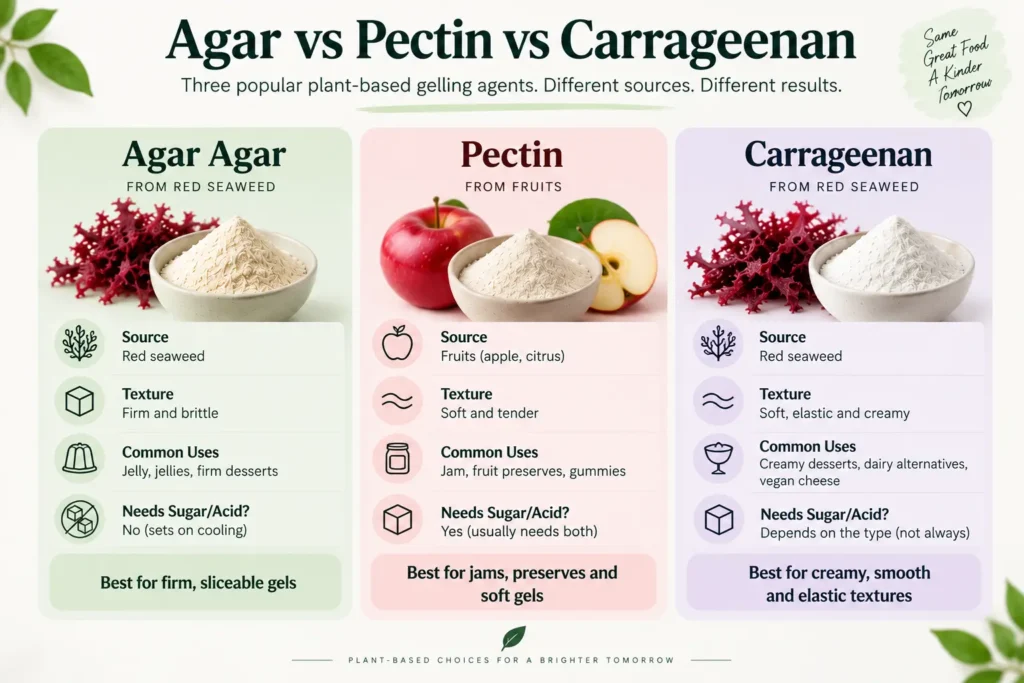 7 Vegan Gelling Agents: The Best Plant-Based Alternatives to Gelatin