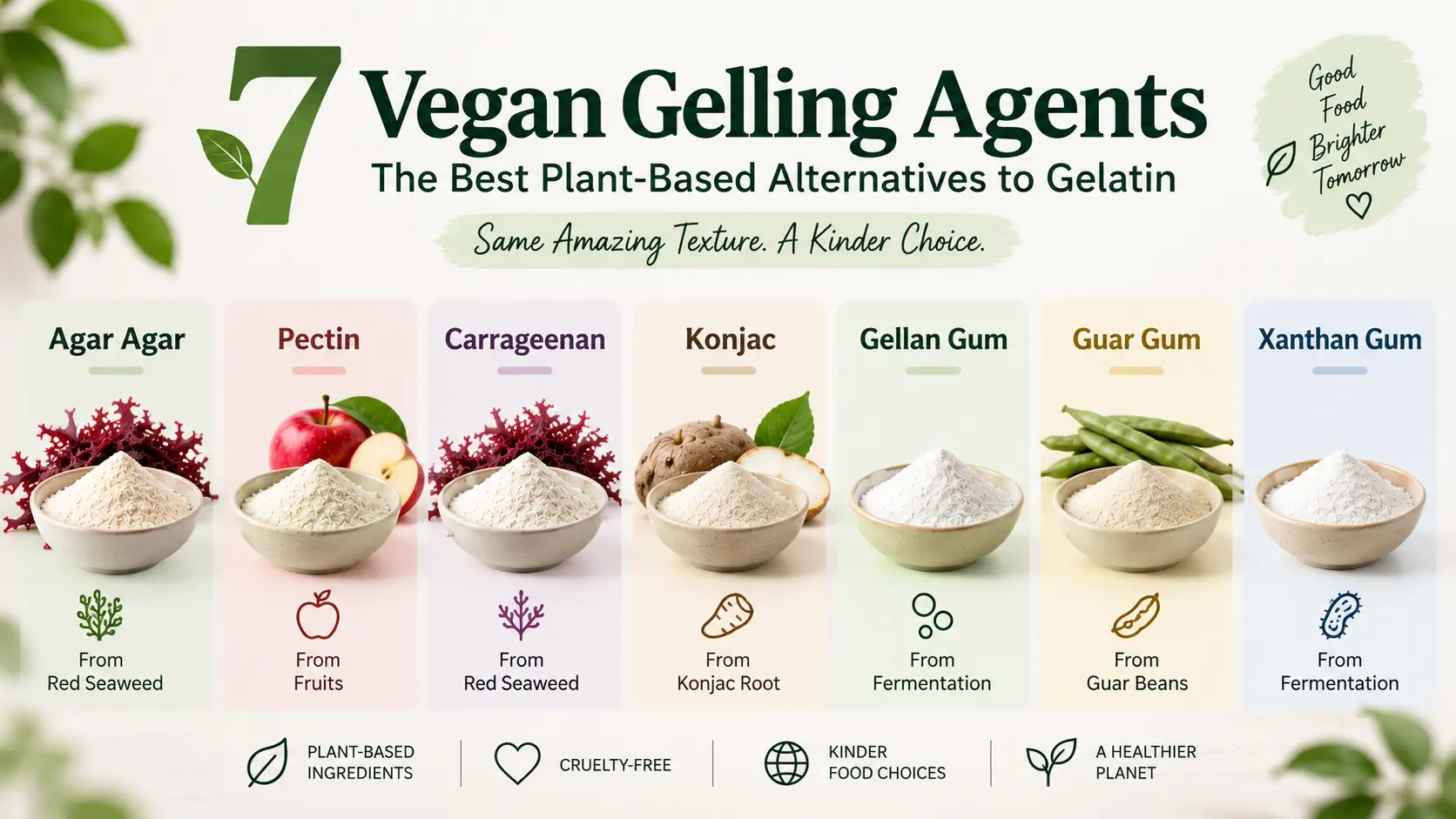 7 Vegan Gelling Agents: The Best Plant-Based Alternatives to Gelatin